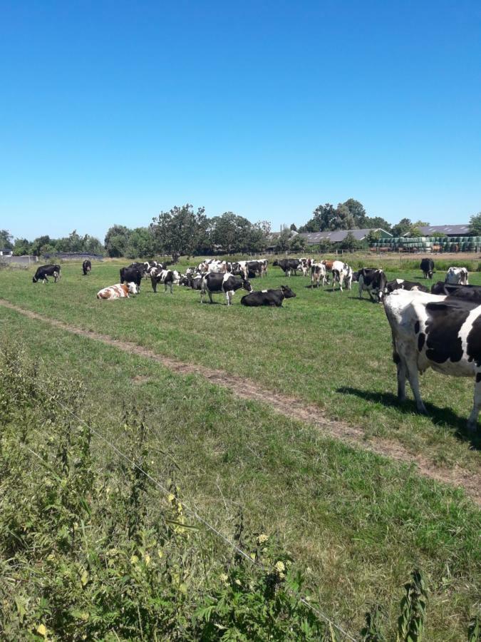 LodderLogies Lejlighed Oudewater Eksteriør billede
